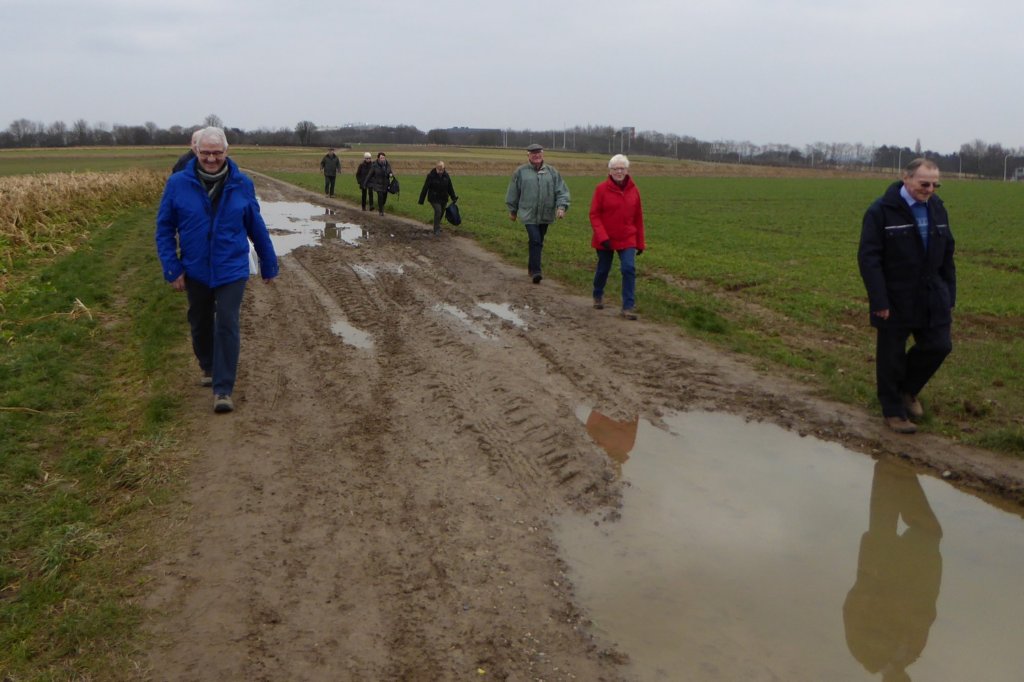 winksele13.jpg