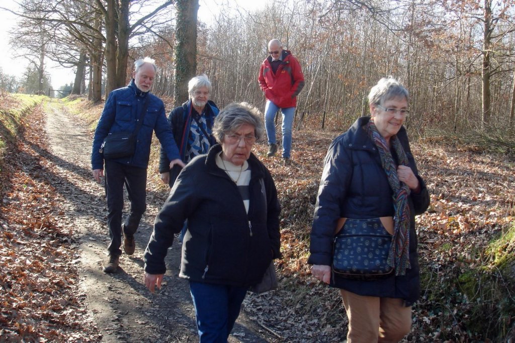 lubbeek05.jpg