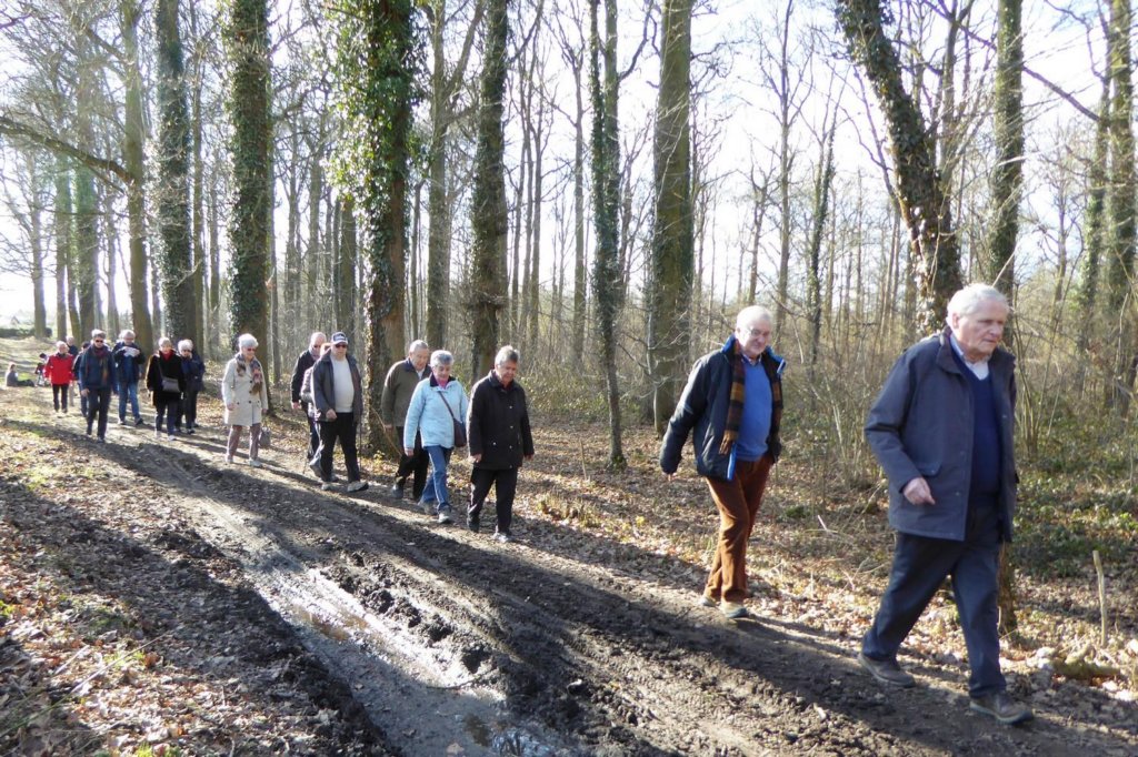lubbeek07.jpg