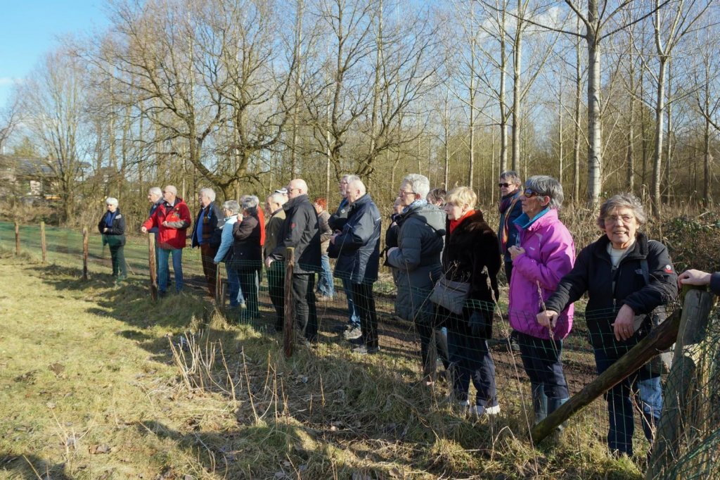 lubbeek09.jpg