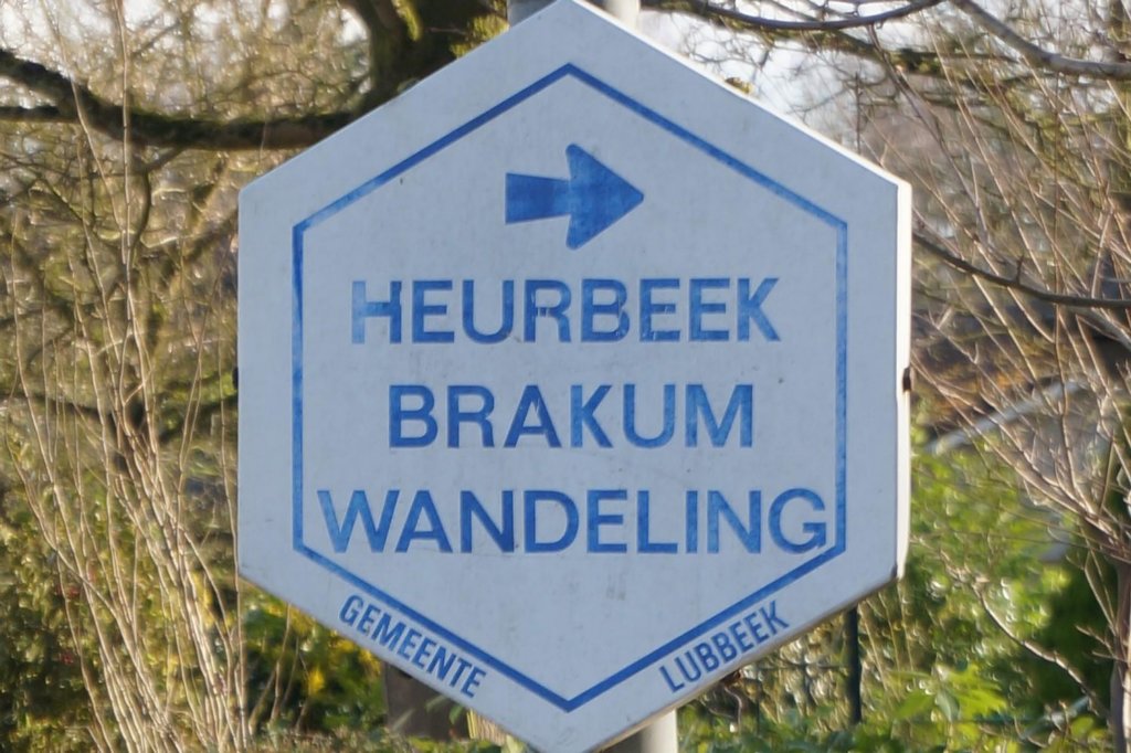 lubbeek18.jpg