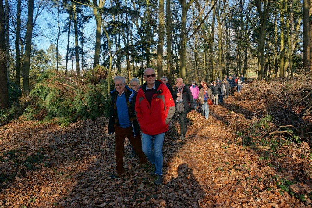 lubbeek21.jpg