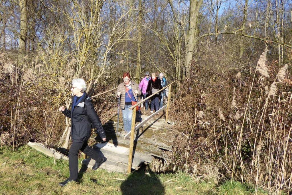 lubbeek26.jpg