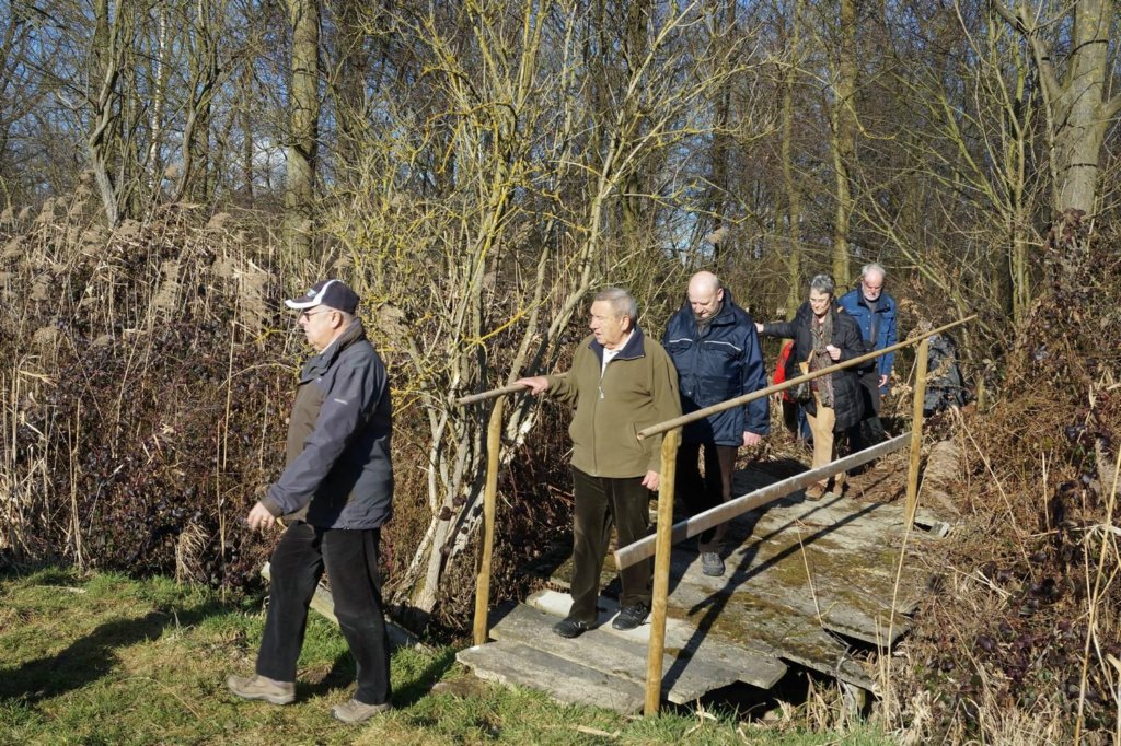 lubbeek29.jpg