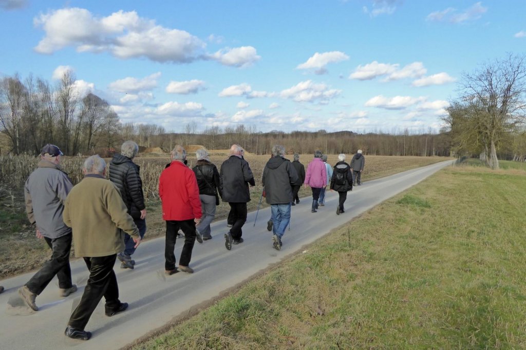 lubbeek33.jpg