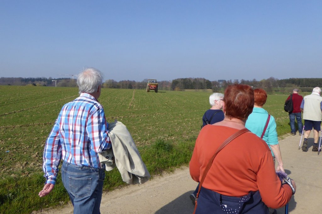 winge11.jpg