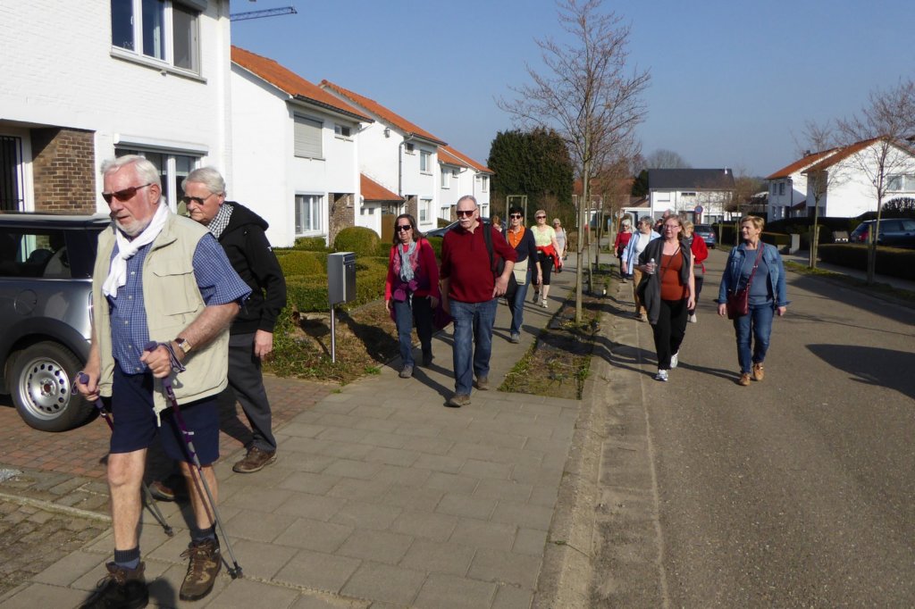 winge22.jpg