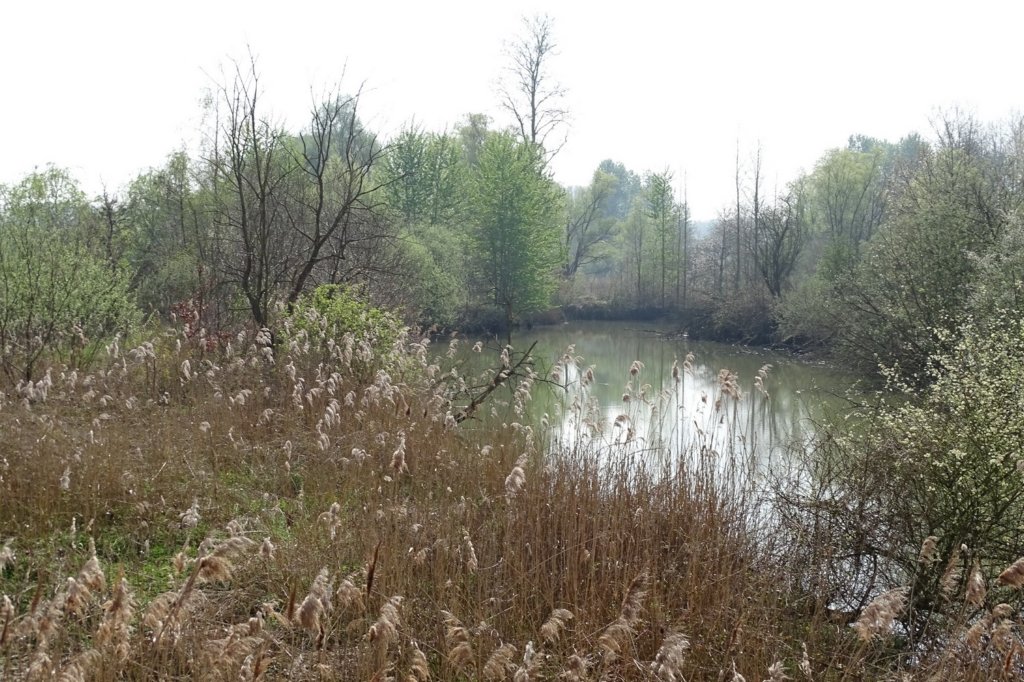 weert07.jpg