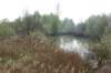 weert07_small.jpg