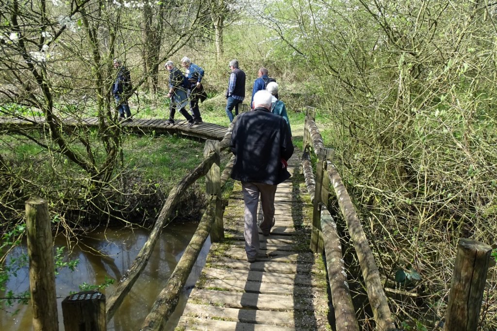 weert09.jpg
