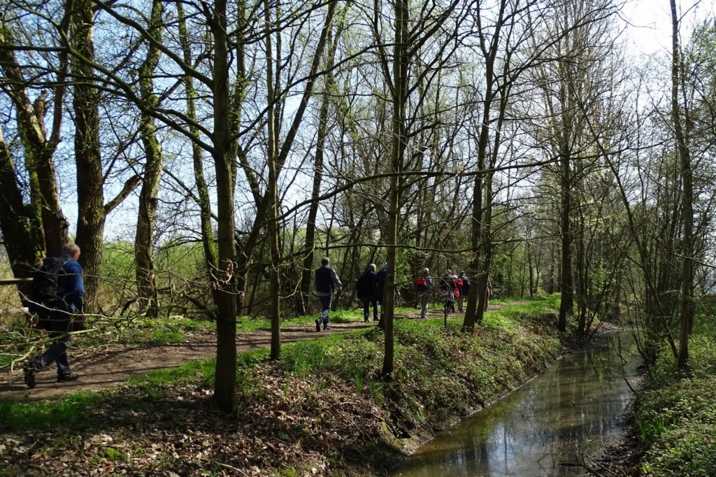 weert10.jpg