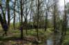 weert10_small.jpg