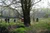 weert18_small.jpg