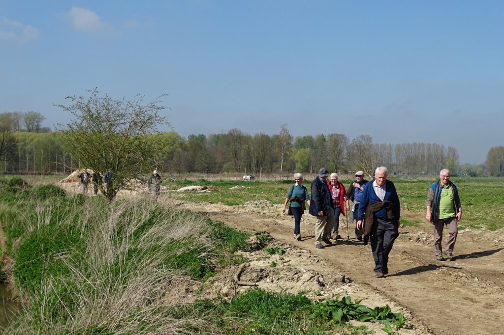 weert19.jpg