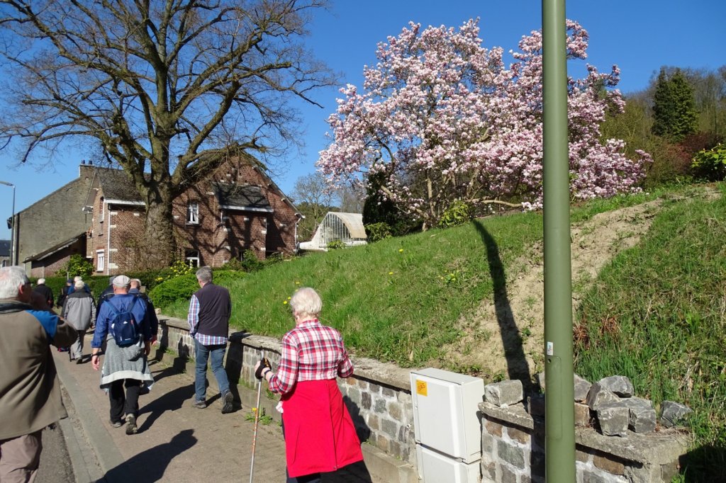 weert32.jpg