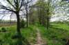 hever21_small.jpg