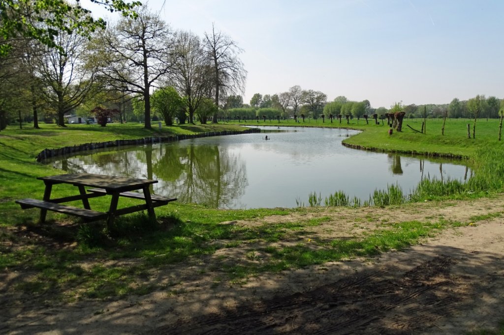hever23.jpg