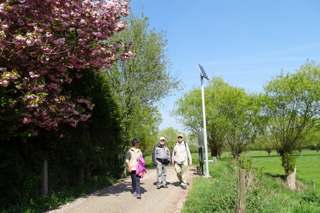 hever25.jpg