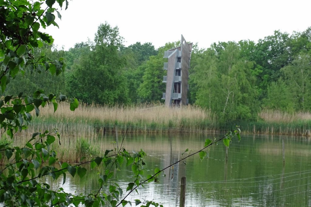 photo17.jpg