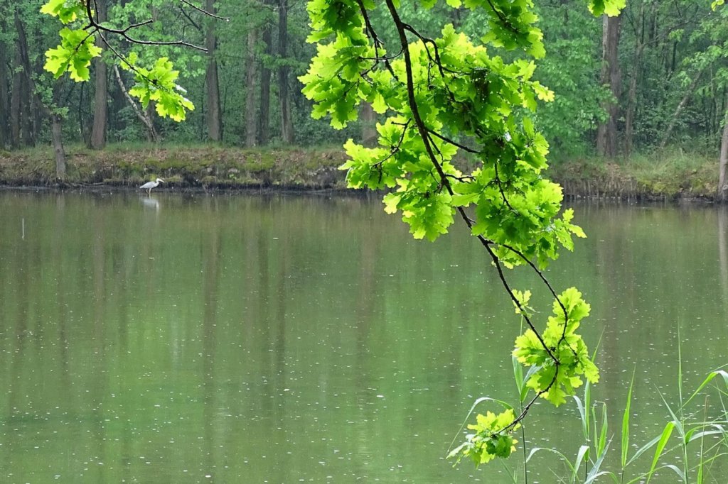 photo7.jpg