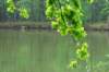 photo7_small.jpg