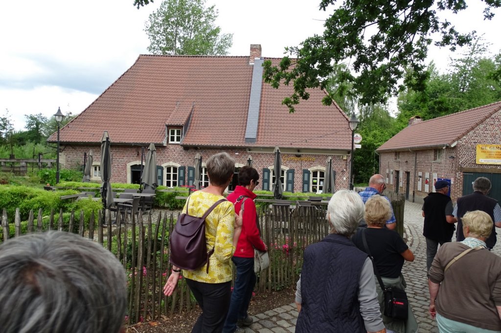 winge04.jpg