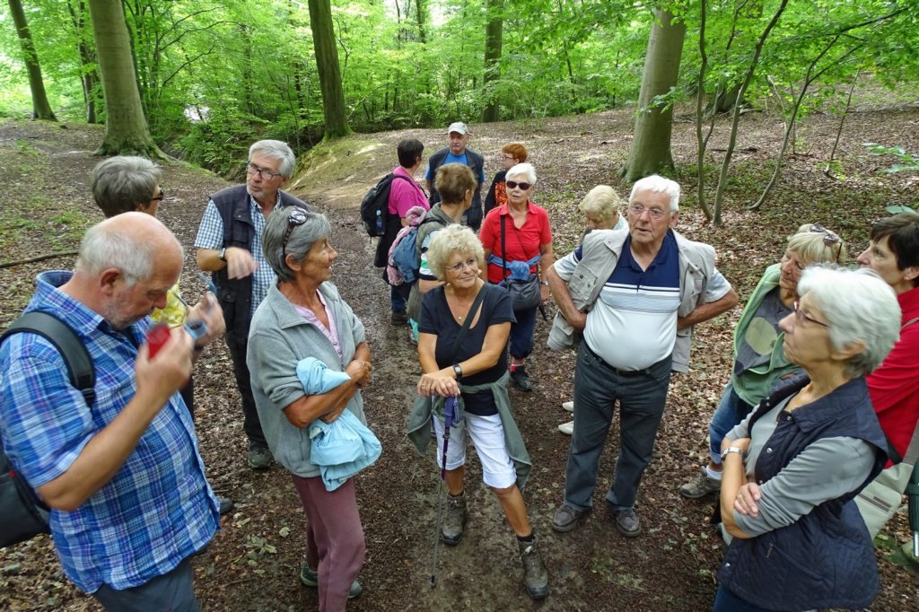 winge18.jpg