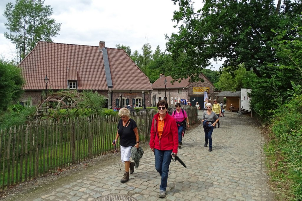 winge29.jpg