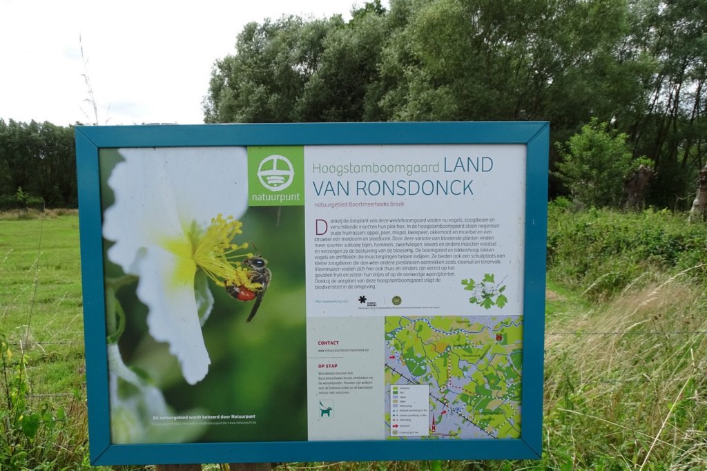 boortmeerbeek06.jpg