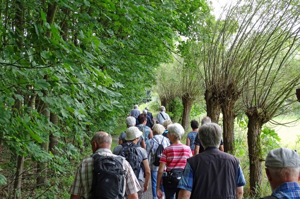 boortmeerbeek10.jpg