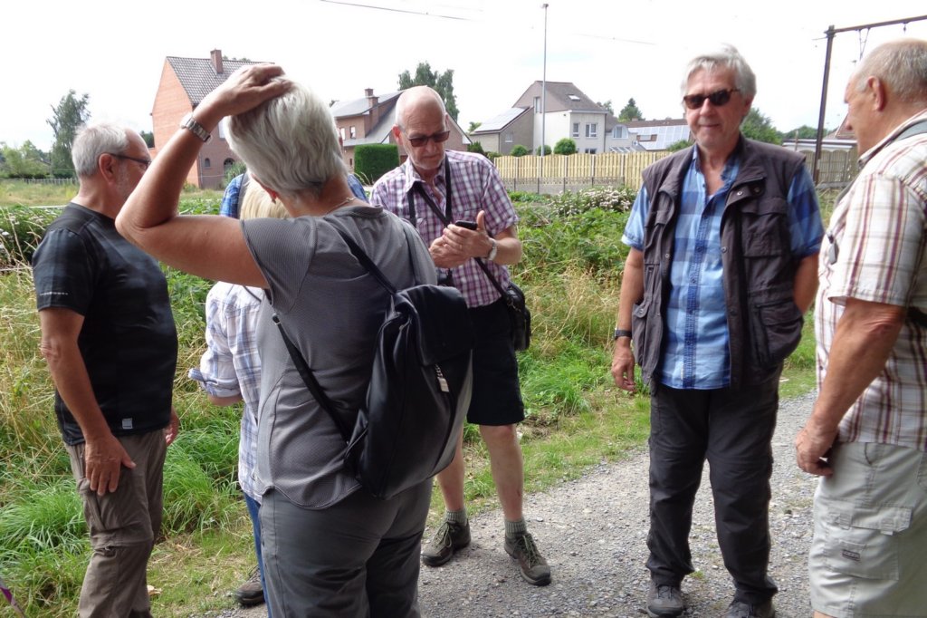 boortmeerbeek13.jpg