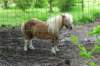 boortmeerbeek14_small.jpg