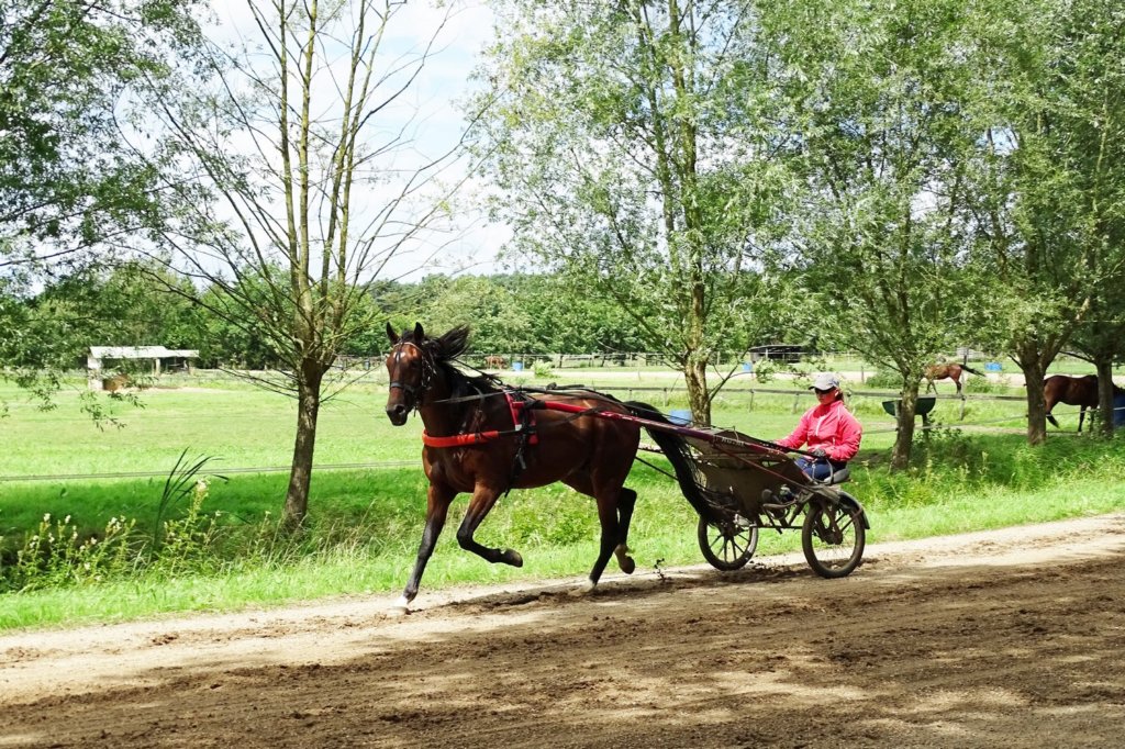 boortmeerbeek16.jpg