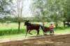 boortmeerbeek16_small.jpg