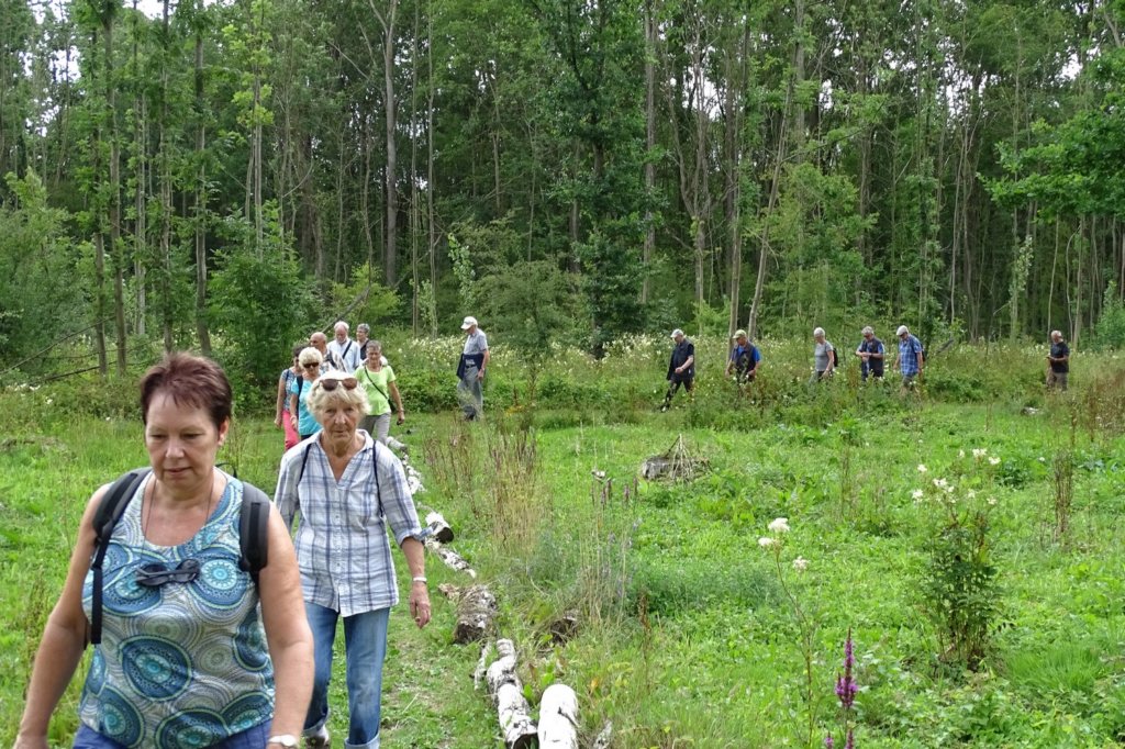 boortmeerbeek26.jpg