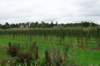 bierbeek07_small.jpg