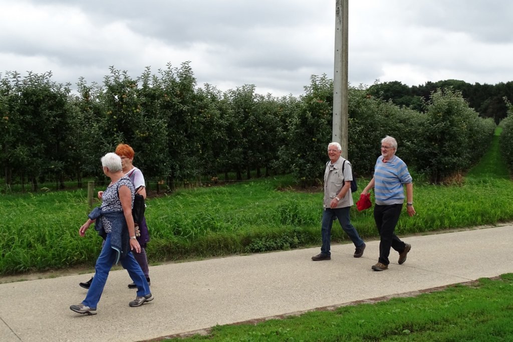 bierbeek10.jpg