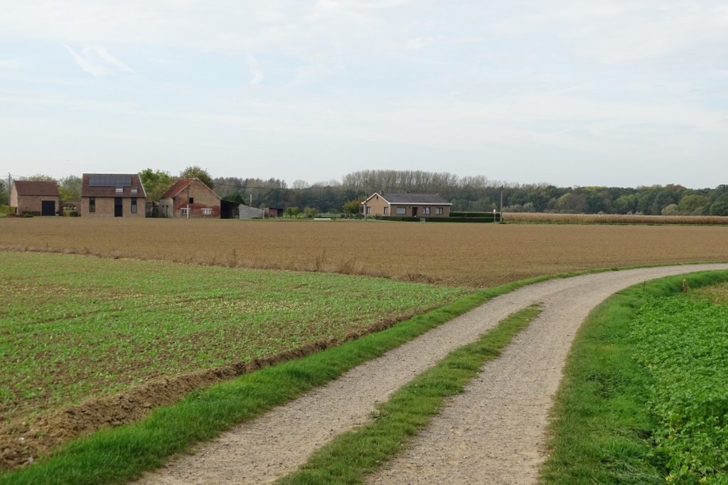 herent15.jpg