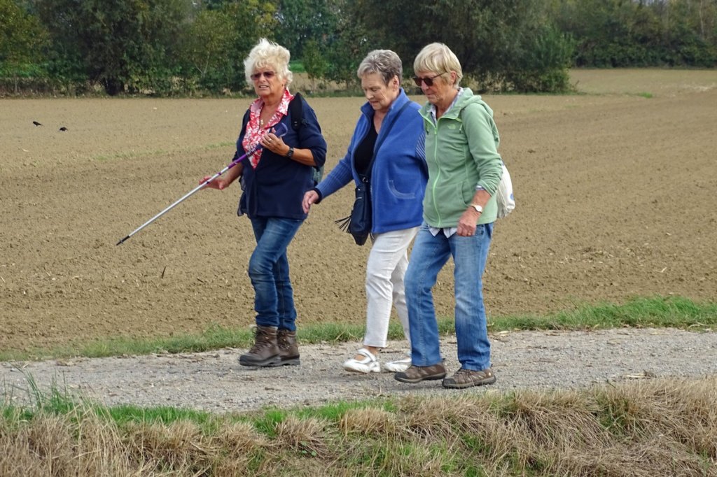 herent16.jpg