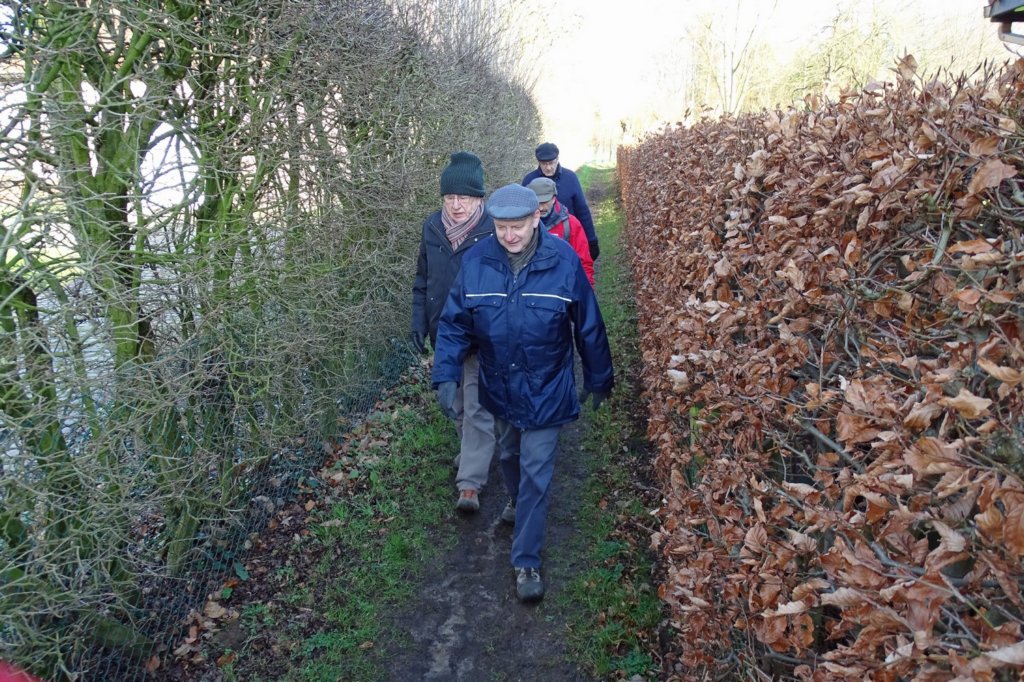 holsbeek04.jpg