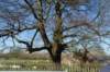 holsbeek07_small.jpg
