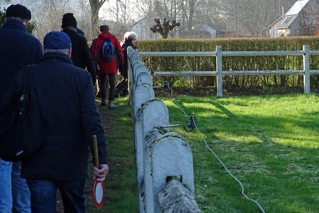 holsbeek08.jpg