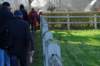 holsbeek08_small.jpg