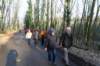 holsbeek13_small.jpg