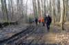 holsbeek15_small.jpg