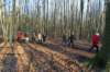 holsbeek21_small.jpg