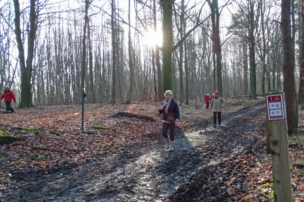 holsbeek22.jpg
