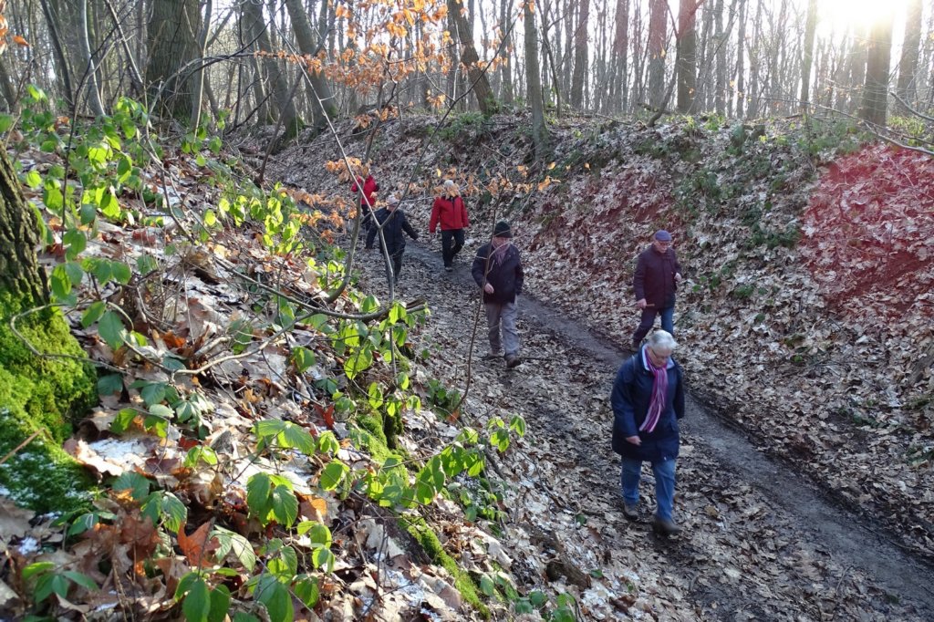 holsbeek24.jpg
