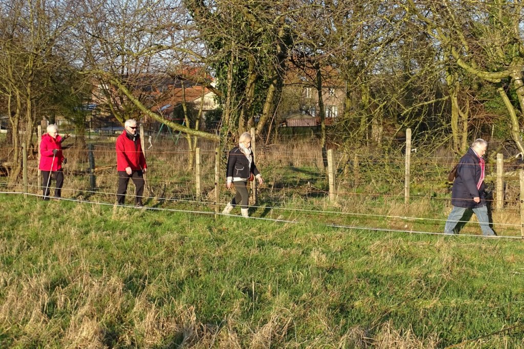 holsbeek25.jpg