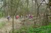 oudheverlee15_small.jpg